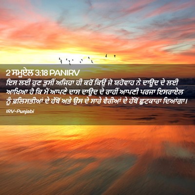 Picture 02 - 2 ਸਮੂਏਲ 3:18 PANIRV - ਇਸ ਲਈ ਹੁਣ ਤੁਸੀਂ - Bible Verse Picture