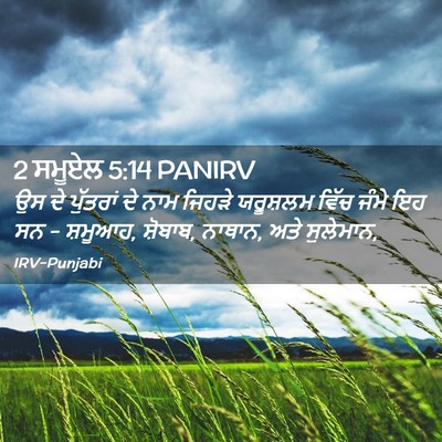 Picture 02 - 2 ਸਮੂਏਲ 5:14 PANIRV - ਉਸ ਦੇ ਪੁੱਤਰਾਂ ਦੇ - Bible Verse Picture