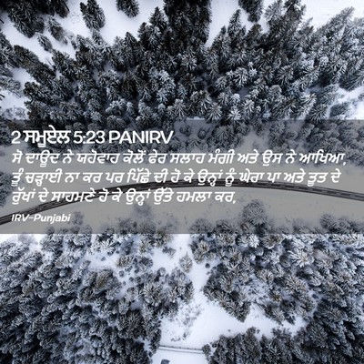 Picture 02 - 2 ਸਮੂਏਲ 5:23 PANIRV - ਸੋ ਦਾਊਦ ਨੇ ਯਹੋਵਾਹ - Bible Verse Picture