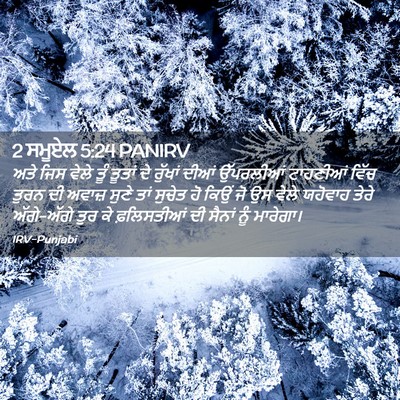 Picture 02 - 2 ਸਮੂਏਲ 5:24 PANIRV - ਅਤੇ ਜਿਸ ਵੇਲੇ ਤੂੰ - Bible Verse Picture