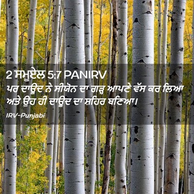 Picture 02 - 2 ਸਮੂਏਲ 5:7 PANIRV - ਪਰ ਦਾਊਦ ਨੇ ਸੀਯੋਨ ਦਾ - Bible Verse Picture