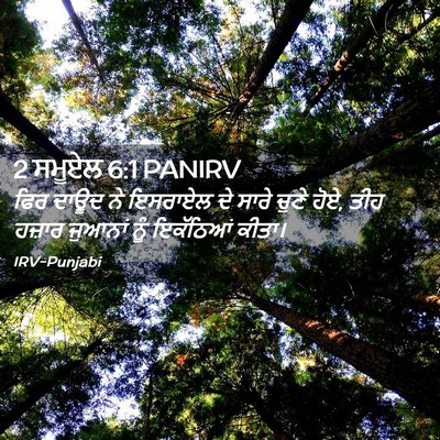 Picture 02 - 2 ਸਮੂਏਲ 6:1 PANIRV - ਫਿਰ ਦਾਊਦ ਨੇ ਇਸਰਾਏਲ - Bible Verse Picture