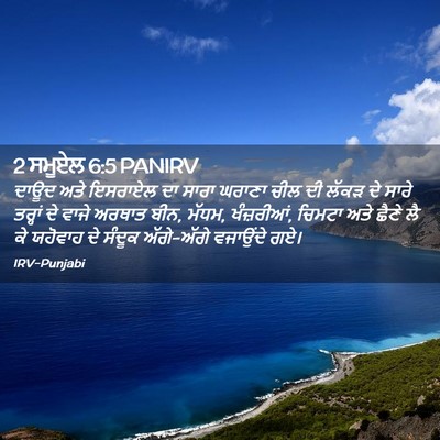 Picture 02 - 2 ਸਮੂਏਲ 6:5 PANIRV - ਦਾਊਦ ਅਤੇ ਇਸਰਾਏਲ ਦਾ - Bible Verse Picture