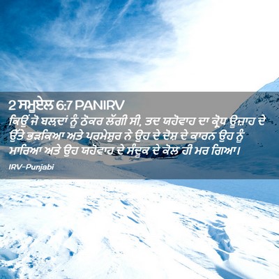 Picture 02 - 2 ਸਮੂਏਲ 6:7 PANIRV - ਕਿਉਂ ਜੋ ਬਲ਼ਦਾਂ ਨੂੰ - Bible Verse Picture