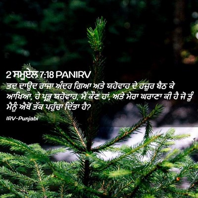 Picture 02 - 2 ਸਮੂਏਲ 7:18 PANIRV - ਤਦ ਦਾਊਦ ਰਾਜਾ ਅੰਦਰ - Bible Verse Picture