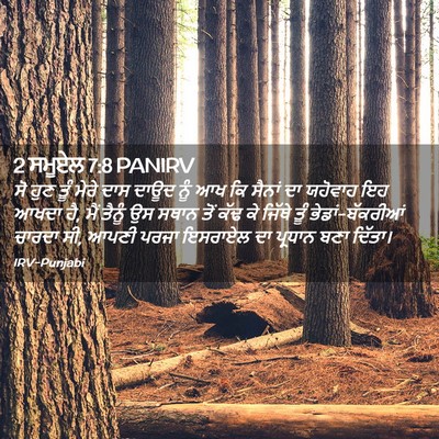 Picture 02 - 2 ਸਮੂਏਲ 7:8 PANIRV - ਸੋ ਹੁਣ ਤੂੰ ਮੇਰੇ ਦਾਸ - Bible Verse Picture