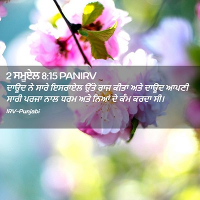 Picture 02 - 2 ਸਮੂਏਲ 8:15 PANIRV - ਦਾਊਦ ਨੇ ਸਾਰੇ - Bible Verse Picture