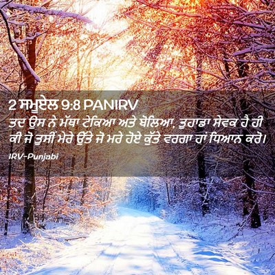 Picture 02 - 2 ਸਮੂਏਲ 9:8 PANIRV - ਤਦ ਉਸ ਨੇ ਮੱਥਾ ਟੇਕਿਆ - Bible Verse Picture