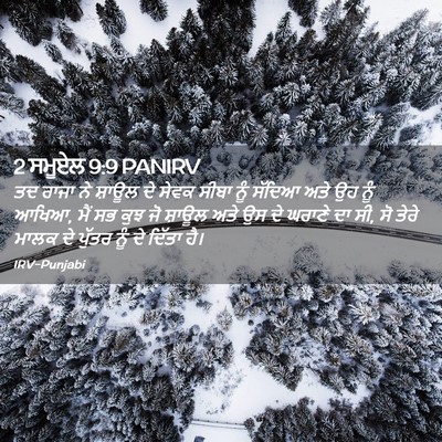 Picture 02 - 2 ਸਮੂਏਲ 9:9 PANIRV - ਤਦ ਰਾਜਾ ਨੇ ਸ਼ਾਊਲ ਦੇ - Bible Verse Picture