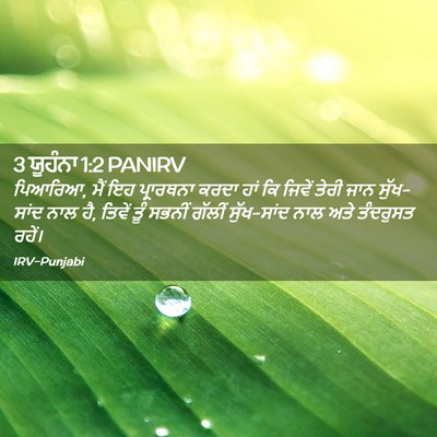 Picture 02 - 3 ਯੂਹੰਨਾ 1:2 PANIRV - ਪਿਆਰਿਆ, ਮੈਂ ਇਹ - Bible Verse Picture