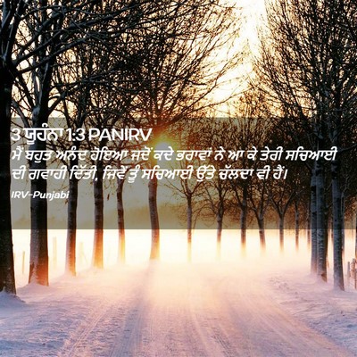 Picture 02 - 3 ਯੂਹੰਨਾ 1:3 PANIRV - ਮੈਂ ਬਹੁਤ ਅਨੰਦ ਹੋਇਆ - Bible Verse Picture