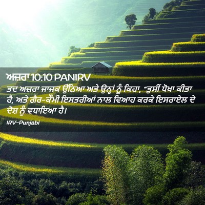 Picture 02 - ਅਜ਼ਰਾ 10:10 PANIRV - ਤਦ ਅਜ਼ਰਾ ਜਾਜਕ - Bible Verse Picture
