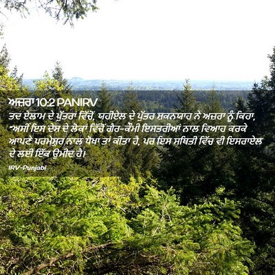 Picture 02 - ਅਜ਼ਰਾ 10:2 PANIRV - ਤਦ ਏਲਾਮ ਦੇ ਪੁੱਤਰਾਂ - Bible Verse Picture