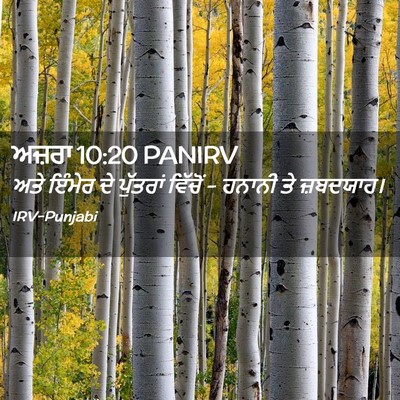 Picture 02 - ਅਜ਼ਰਾ 10:20 PANIRV - ਅਤੇ ਇੰਮੇਰ ਦੇ - Bible Verse Picture