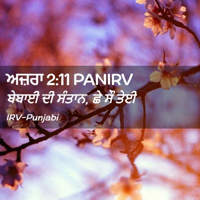 Picture 02 - ਅਜ਼ਰਾ 2:11 PANIRV - ਬੇਬਾਈ ਦੀ ਸੰਤਾਨ, ਛੇ - Bible Verse Picture
