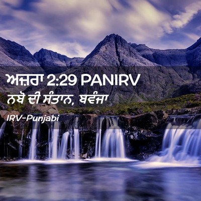 Picture 02 - ਅਜ਼ਰਾ 2:29 PANIRV - ਨਬੋ ਦੀ ਸੰਤਾਨ, - Bible Verse Picture