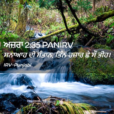 Picture 02 - ਅਜ਼ਰਾ 2:35 PANIRV - ਸਨਾਆਹ ਦੀ ਸੰਤਾਨ, - Bible Verse Picture