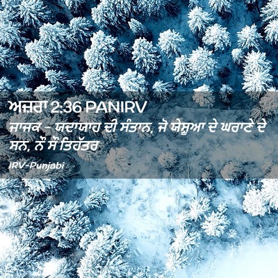 Picture 02 - ਅਜ਼ਰਾ 2:36 PANIRV - ਜਾਜਕ - ਯਦਾਯਾਹ ਦੀ - Bible Verse Picture