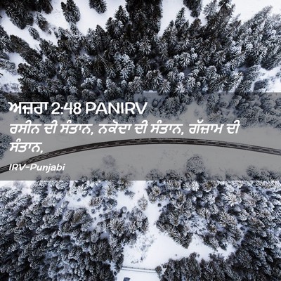 Picture 02 - ਅਜ਼ਰਾ 2:48 PANIRV - ਰਸੀਨ ਦੀ ਸੰਤਾਨ, - Bible Verse Picture