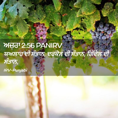 Picture 02 - ਅਜ਼ਰਾ 2:56 PANIRV - ਯਅਲਾਹ ਦੀ ਸੰਤਾਨ, - Bible Verse Picture
