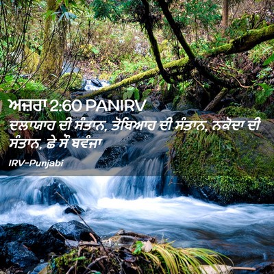 Picture 02 - ਅਜ਼ਰਾ 2:60 PANIRV - ਦਲਾਯਾਹ ਦੀ ਸੰਤਾਨ, - Bible Verse Picture