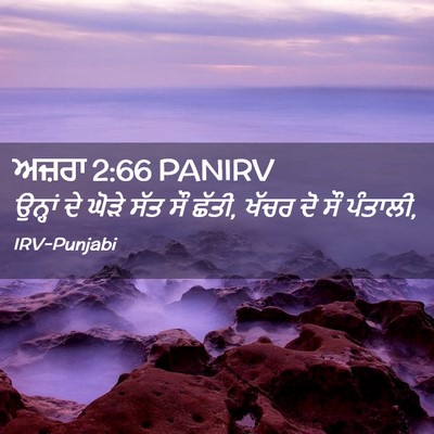 Picture 02 - ਅਜ਼ਰਾ 2:66 PANIRV - ਉਨ੍ਹਾਂ ਦੇ ਘੋੜੇ ਸੱਤ - Bible Verse Picture