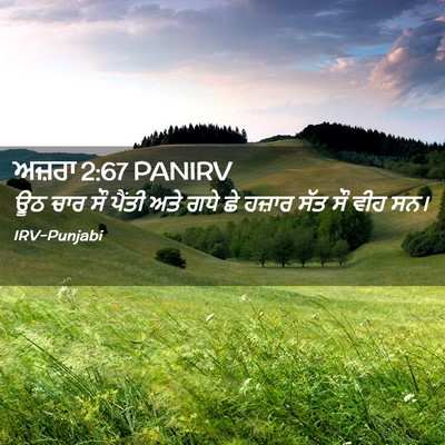 Picture 02 - ਅਜ਼ਰਾ 2:67 PANIRV - ਊਠ ਚਾਰ ਸੌ ਪੈਂਤੀ ਅਤੇ - Bible Verse Picture
