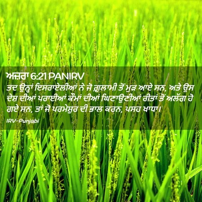 Picture 02 - ਅਜ਼ਰਾ 6:21 PANIRV - ਤਦ ਉਨ੍ਹਾਂ - Bible Verse Picture