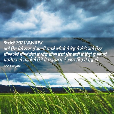 Picture 02 - ਅਜ਼ਰਾ 7:17 PANIRV - ਅਤੇ ਉਸ ਪੈਸੇ ਨਾਲ ਤੂੰ - Bible Verse Picture