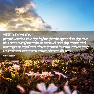 Picture 02 - ਅਜ਼ਰਾ 9:12 PANIRV - ਹੁਣ ਤੁਸੀਂ ਆਪਣੀਆਂ - Bible Verse Picture