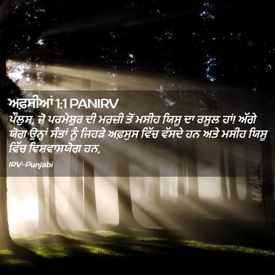 Picture 02 - ਅਫ਼ਸੀਆਂ 1:1 PANIRV - ਪੌਲੁਸ, ਜੋ ਪਰਮੇਸ਼ੁਰ - Bible Verse Picture