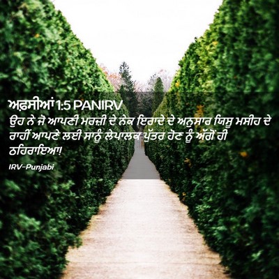 Picture 02 - ਅਫ਼ਸੀਆਂ 1:5 PANIRV - ਉਹ ਨੇ ਜੋ ਆਪਣੀ ਮਰਜ਼ੀ - Bible Verse Picture