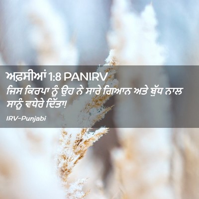 Picture 02 - ਅਫ਼ਸੀਆਂ 1:8 PANIRV - ਜਿਸ ਕਿਰਪਾ ਨੂੰ ਉਹ ਨੇ - Bible Verse Picture