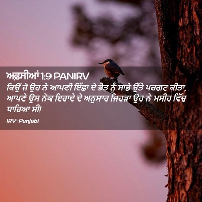 Picture 02 - ਅਫ਼ਸੀਆਂ 1:9 PANIRV - ਕਿਉਂ ਜੋ ਉਹ ਨੇ ਆਪਣੀ - Bible Verse Picture