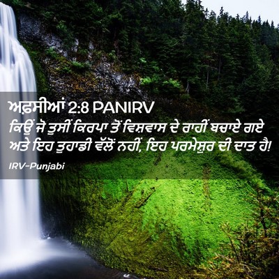 Picture 02 - ਅਫ਼ਸੀਆਂ 2:8 PANIRV - ਕਿਉਂ ਜੋ ਤੁਸੀਂ - Bible Verse Picture