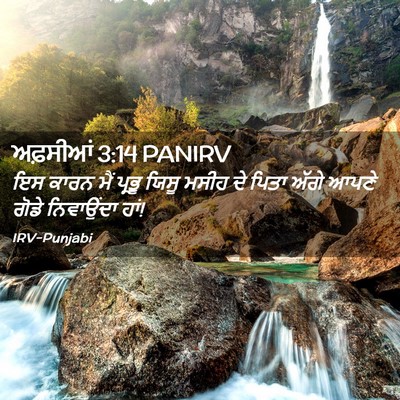 Picture 02 - ਅਫ਼ਸੀਆਂ 3:14 PANIRV - ਇਸ ਕਾਰਨ ਮੈਂ ਪ੍ਰਭੂ - Bible Verse Picture