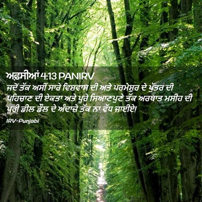 Picture 02 - ਅਫ਼ਸੀਆਂ 4:13 PANIRV - ਜਦੋਂ ਤੱਕ ਅਸੀਂ ਸਾਰੇ - Bible Verse Picture