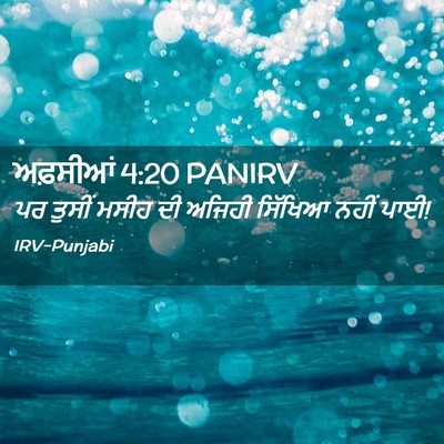 Picture 02 - ਅਫ਼ਸੀਆਂ 4:20 PANIRV - ਪਰ ਤੁਸੀਂ ਮਸੀਹ ਦੀ - Bible Verse Picture