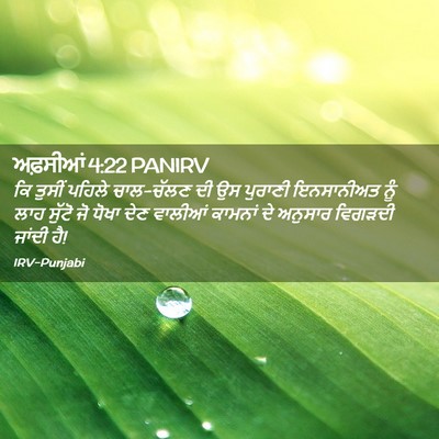 Picture 02 - ਅਫ਼ਸੀਆਂ 4:22 PANIRV - ਕਿ ਤੁਸੀਂ ਪਹਿਲੇ - Bible Verse Picture