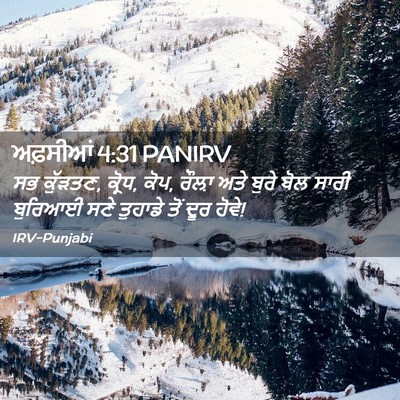 Picture 02 - ਅਫ਼ਸੀਆਂ 4:31 PANIRV - ਸਭ ਕੁੱੜਤਣ, ਕ੍ਰੋਧ, - Bible Verse Picture
