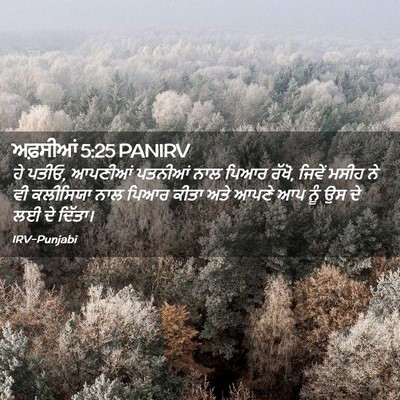 Picture 02 - ਅਫ਼ਸੀਆਂ 5:25 PANIRV - ਹੇ ਪਤੀਓ, ਆਪਣੀਆਂ - Bible Verse Picture