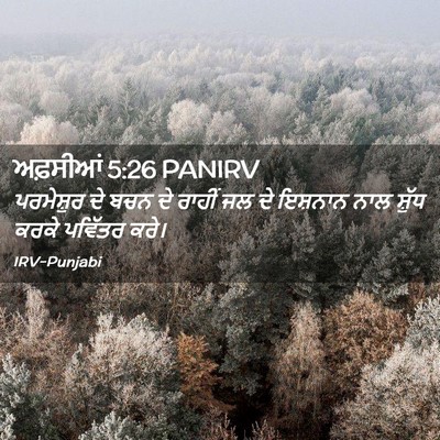 Picture 02 - ਅਫ਼ਸੀਆਂ 5:26 PANIRV - ਪਰਮੇਸ਼ੁਰ ਦੇ ਬਚਨ ਦੇ - Bible Verse Picture