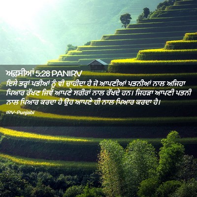 Picture 02 - ਅਫ਼ਸੀਆਂ 5:28 PANIRV - ਇਸੇ ਤਰ੍ਹਾਂ ਪਤੀਆਂ - Bible Verse Picture