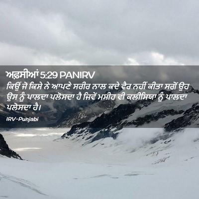 Picture 02 - ਅਫ਼ਸੀਆਂ 5:29 PANIRV - ਕਿਉਂ ਜੋ ਕਿਸੇ ਨੇ - Bible Verse Picture