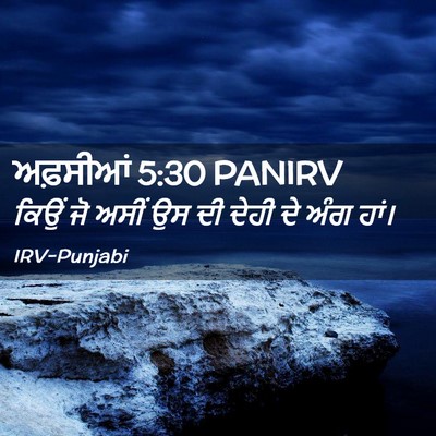 Picture 02 - ਅਫ਼ਸੀਆਂ 5:30 PANIRV - ਕਿਉਂ ਜੋ ਅਸੀਂ ਉਸ ਦੀ - Bible Verse Picture