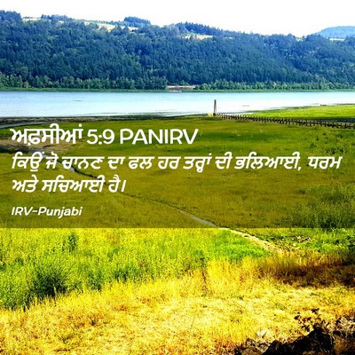Picture 02 - ਅਫ਼ਸੀਆਂ 5:9 PANIRV - ਕਿਉਂ ਜੋ ਚਾਨਣ ਦਾ ਫਲ - Bible Verse Picture