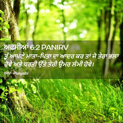 Picture 02 - ਅਫ਼ਸੀਆਂ 6:2 PANIRV - ਤੂੰ ਆਪਣੇ ਮਾਤਾ-ਪਿਤਾ - Bible Verse Picture