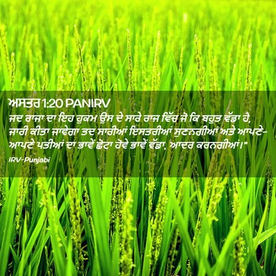 Picture 02 - ਅਸਤਰ 1:20 PANIRV - ਜਦ ਰਾਜਾ ਦਾ ਇਹ ਹੁਕਮ - Bible Verse Picture