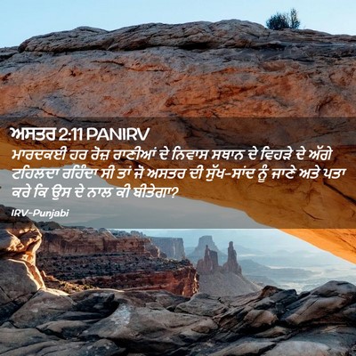 Picture 02 - ਅਸਤਰ 2:11 PANIRV - ਮਾਰਦਕਈ ਹਰ ਰੋਜ਼ - Bible Verse Picture