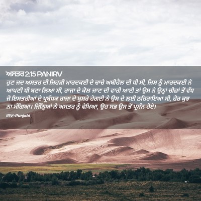 Picture 02 - ਅਸਤਰ 2:15 PANIRV - ਹੁਣ ਜਦ ਅਸਤਰ ਦੀ - Bible Verse Picture